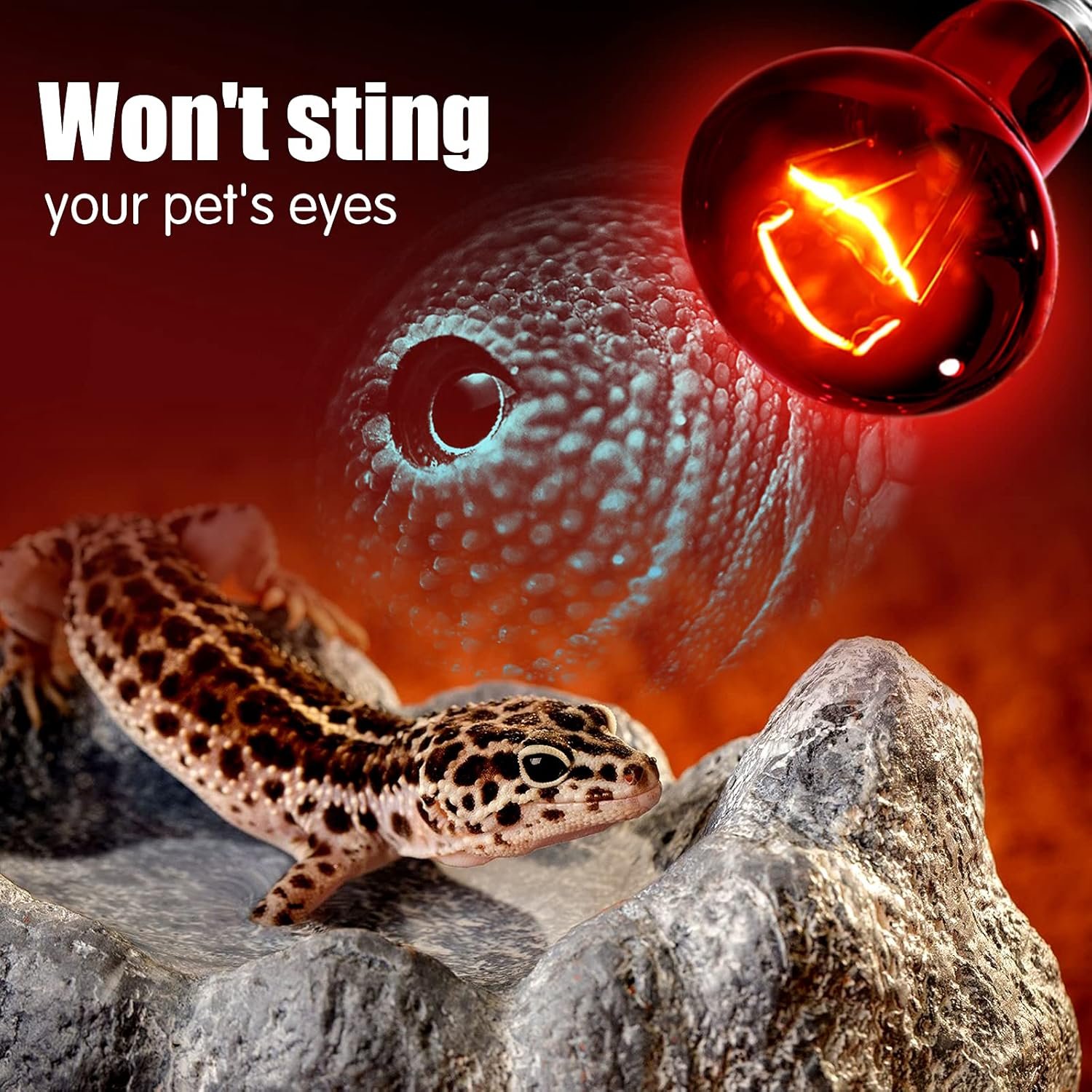 Infrared Heat Lamp Bulbs 100W 2 Pack,Red Basking Spot Light Bulb Reptile Heating lamp for Bearded Dragon,Turtle,Snake,Leopard Gecko,Chicked with Digital Temperature Thermometer - Image 4