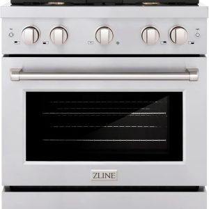 ZLINE 30 in. 4.2 cu. ft. Paramount Gas Range with Convection Gas Oven in Stainless Steel with 4 Brass Burners (SGR-BR-30)